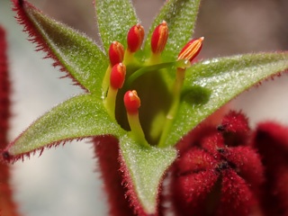 P1062338a.jpg